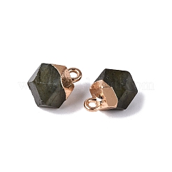 天然石ラブラドライトペンダント  ポリゴンのチャーム  金色の真鍮ループ  11.5~14x7~9.5x7~9.5mm  穴：1.6~1.8mm&nbsp;G-N359-18G-02