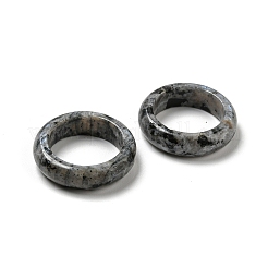天然ラブラドライトプレーンバンドリング  女性のためのアクセサリー用原石のアクセサリー  6~7mm  内径：17~20mm&nbsp;RJEW-P044-01C-01