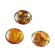 パウアシェルカボション  フラットラウンド  ダークオレンジ  15x2mm&nbsp;SSHEL-C008-08-1