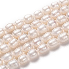 天然養殖淡水パールビーズ連売り  ライス  ビスク  10~11x8~9mm  穴：0.8mm  約35個/連  13.78インチ（35cm）