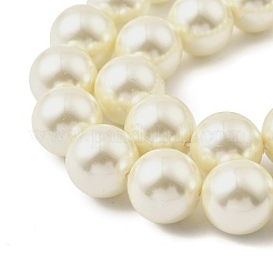 ラウンドシェルパールビーズ連売り  洗練された  ベージュ  14mm  穴：0.7mm  約29個/連  15.87インチ（40.3cm）&nbsp;BSHE-XCP0001-25C-02
