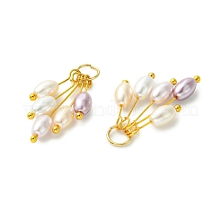 電気メッキシェルパールペンダント  ライスビーズのタッセルチャーム  ミックスカラー  ゴールドカラー  28~30mm  穴：3.5mm&nbsp;PALLOY-JF05645