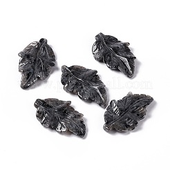 天然ラルビカイトペンダント  葉のチャーム  41.5x25~26x5mm  穴：0.8mm&nbsp;G-I336-01-16