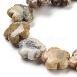 天然石クレイジーアゲートビーズ連売り  花  16x16x6mm  穴：1.4mm  約25個/連  14.57~14.96インチ（37~38cm）&nbsp;G-F769-M01-01