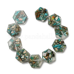 天然の染色されたインペリアルジャスパーと樹脂ビーズの連売り  六角  ダークシアン  18x16x6mm  穴：1.5mm  約10個/連  6.93インチ（17.6cm）&nbsp;G-G083-D01-01