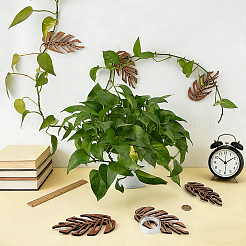 木製壁固定具クリップ6個  両面粘着剤付き  つる植物用  葉  キャメル  150~152x75.5x9mm&nbsp;AJEW-FG0005-96A