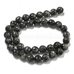 天然ラルビカイトビーズ連売り  (128 ファセット)ファセット  ラウンド  10mm  穴：1.2mm  約37個/連  14.96インチ（38cm）&nbsp;G-E571-A09-03