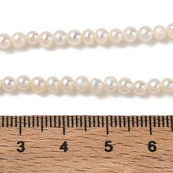 天然養殖淡水パールビーズ連売り  グレード2a+  ポテト  ベージュ  3.5~3.8mm  穴：0.5mm  約101~107個/連  13.39~13.98''（34~35.5センチメートル）&nbsp;PA-CBAC463-34