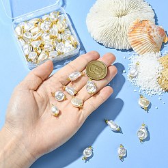 65個、13種類のスタイルのABSプラスチック製模造真珠コネクタチャーム  304ステンレススチールダブルループ付き  混合図形  フローラルホワイト  ゴールドカラー  20~25mm  5個/スタイル&nbsp;PALLOY-CJ00168
