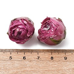 真鍮エポキシ樹脂ペンダント  内側にドライフラワーのペンダント  バラの花のチャーム  金色のループ付き  ミディアム蘭  19~27x21~27x19~28.5mm  穴：1.6mm&nbsp;FIND-D043-01G-05