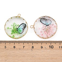 真鍮製ガラスチャーム  ドライフラワーと蝶の模様が入ったフラットラウンド  ゴールドカラー  ミックスカラー  30x26.5x7mm  穴：2.2mm&nbsp;FIND-G101-06G