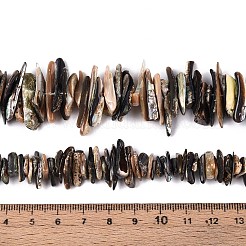 天然パウアシェルビーズ連売り  ナゲット  ココナッツブラウン  8~30x4~14x0.2~8.5mm  穴：0.8~2.5mm  約135~148個/連  13.39~14.96''（34~38センチメートル）&nbsp;SHEL-T020-42