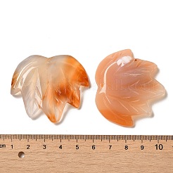天然赤瑪瑙彫刻ペンダント  葉のチャーム  43~44x49~50x7~7.5mm  穴：1.4mm&nbsp;G-K353-01G