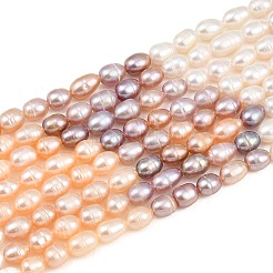 三色の天然養殖淡水真珠ビーズの連  ライス  グレード3 A  ミックスカラー  5~6mm  穴：0.5mm  約51~52個/連  13.78''（35センチメートル）&nbsp;PA-CBAFEE8-04B