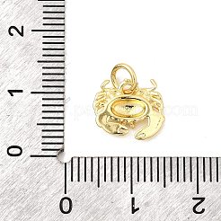 真鍮製チャーム  長持ちメッキ  鉛フリー＆カドミウムフリー  ラックめっき  丸カン付き  18KGP本金メッキ  カニ  10x11x2mm  穴：3mm&nbsp;KK-I364-06G-02