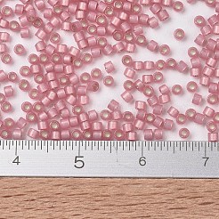 MIYUKIデリカビーズ  シリンダー  日本製シードビーズ  11/0  （db2189) duracoat半つや消しシルバー裏地染めスイカズラ  1.3x1.6mm  穴：0.8mm  約2000PCS /ボトル  10 G /ボトル&nbsp;SEED-JP0008-DB2189