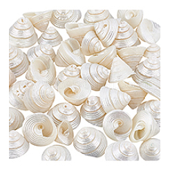 100g天然貝殻ディスプレイ装飾  水槽の装飾品  シェル形状  19~25x16~19mm&nbsp;SSHEL-PH0001-40B