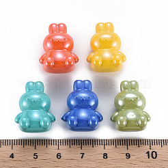 真珠色の不透明なアクリルビーズ  片穴  兎  ミックスカラー  23x18.5x13mm  穴：3.5mm&nbsp;MACR-S373-41I