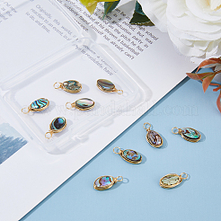 10 個の銅有線天然アワビシェル/パウアシェルペンダント  楕円形のチャーム  ライトゴールド  16~18mm  穴：3~3.5mm&nbsp;PALLOY-FI00001