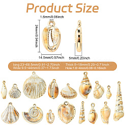 32 個 16 スタイルメッキアクリルパーツ  模造シェル付  シェル形状  ミックスカラー  23~68.5x9.5~44x5~18mm  穴：1.6~4mm  2個/スタイル&nbsp;OACR-CJ0002-45