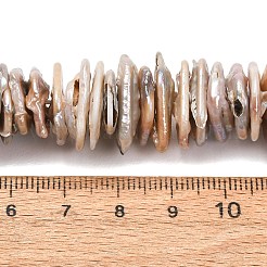 天然バロックケシパールビーズ連売り  有核真珠  長方形  プラム  15~20x11.5~13.5x1.5~7mm  穴：0.7~0.8mm  約120~123個/連  14.76~15.16インチ（37.5~38.5cm）&nbsp;PEAR-S018-05D-01