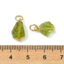 未加工の天然ペリドットペンダント  ナゲットチャーム  ゴールドカラー  12~14x7~9x4.5~8mm  穴：3.5mm&nbsp;PALLOY-JF05641