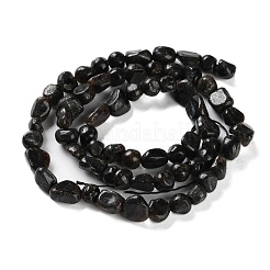 天然カヤナイト/シアナイト/ジステンビーズ連売り  ナゲット  タンブルストーン  4.5~11.5x3~7x3.5~6mm  穴：1~1.2mm  約48~68個/連  15.35~15.94''（39~40.5センチメートル）&nbsp;G-P497-01C-34