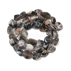 天然石ムーンストーンビーズ連売り  ナゲット  8~15x8~10x5~8mm  穴：1mm  約41~44個/連  15.04~15.55''（38.2~39.5センチメートル）&nbsp;G-A284-A01-01
