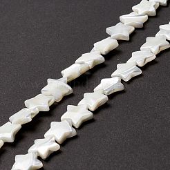 天然トロチッドシェル/トロカスシェルビーズ  スター  貝殻色  12.5x11.5x3.5mm  穴：1mm  約38個/連  15.63インチ（39.7cm）&nbsp;SSHEL-O001-25D-01