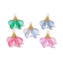 染色されたガラスのペンダント  花  真鍮のループと鉄の金具付き  ミックスカラー  20.5x25.5x20.5mm  穴：4x3mm&nbsp;PALLOY-MZ00658