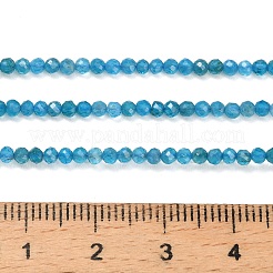 天然石アパタイトビーズ連売り  ラウンド  多面カット  2.5mm  穴：0.5mm  約193~195個/連  15.24''~15.35''（38.7~39センチメートル）&nbsp;G-Z106-A01-2mm