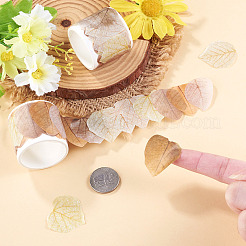 カード作りに使える秋の葉っぱの紙テープステッカー  芸術品や工芸品のプロジェクト  スクラップブック  カラフル  29~31x23~29mm  ステッカー50枚/ロール&nbsp;DIY-TAC0032-23G