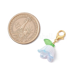 アクリルカンパニュラペンダント装飾  バッグの飾り用のロブスター クロー クラスプ チャーム  ミックスカラー  25.5mm  9個/セット&nbsp;HJEW-JM02768