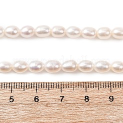 天然養殖淡水パールビーズ連売り  ライス  グレード4a+  パパイヤホイップ  5~5.5mm  穴：0.5mm  約57~62個/連  14.17~15.16''（36~38.5センチメートル）&nbsp;PEAR-F020-01B