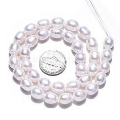 天然養殖淡水パールビーズ連売り  ライス  乳白色  9.5~12x8~9mm  穴：0.6mm  約35~36個/連  14.49インチ〜15.39インチ（36.8cm〜37.1cm）&nbsp;PEAR-N012-08D
