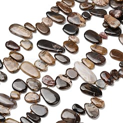 天然石ペトリファイドウッドビーズ連売り  ティアドロップ  トップ掘削  13.5~41x10~25x5~7mm  穴：1mm  約28~30個/連  15.75~15.94インチ（40~40.5cm）&nbsp;G-C253-06