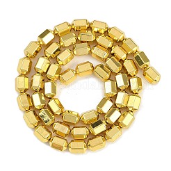 電気めっき合成非磁性ヘマタイト ビーズ 連売り  六角柱  黄金メッキ  8x6x5mm  穴：1mm  約51個/連  16.06''（40.8センチメートル）&nbsp;G-G174-C01-01