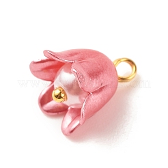 スプレー ペイント abs プラスチック イミテーション パール チャーム  ゴールデントーン真鍮パーツ  花  ミックスカラー  12x10.5mm  穴：2mm&nbsp;PALLOY-JF01603-03