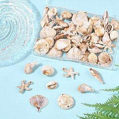 56個7スタイルの海をテーマにした不透明アクリルパーツ  シェル形状  貝殻色  16~30.5x11.5~27.5x5~12.5mm  穴：2mm  8個/スタイル&nbsp;OACR-FP0001-21