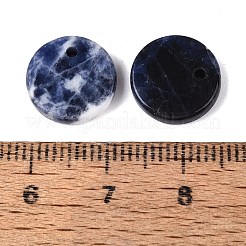 天然石ソーダライトペンダント  フラットラウンドのチャーム  12x3mm  穴：1~1.4mm&nbsp;G-Q606-41B