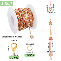DIY チェーン ブレスレット ネックレス メイキング キット  真鍮の楕円形とカラフルなアクリルのリンクチェーンを含む  合金の留め金  304ステンレススチール丸カン  ゴールデン＆ライトゴールド  蝶  リンク：11~15x2.5~7x0.5~2mm  チェーン：5m /セット&nbsp;DIY-PH0017-38A