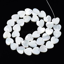 天然トロチッドシェル/トロカスシェルビーズ連売り  漂白  ハート  ホワイト  12x12x3mm  穴：0.8mm  約39~41個/連  15.55インチ〜15.94インチ（39.5~40.5cm）&nbsp;SSHEL-N034-99A-B01