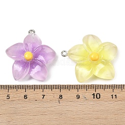 不透明樹脂ペンダント  花  プラチナトーンの鉄ループ付き  ミックスカラー  32.5x30x9mm  穴：2mm&nbsp;RESI-G117-01