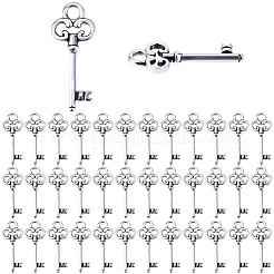 チベット風アロイペンダント60個  スケルトンキー  鉛フリー＆カドミウムフリー  アンティークシルバー  21x8x2mm  穴：2mm&nbsp;TIBEP-SC0003-37