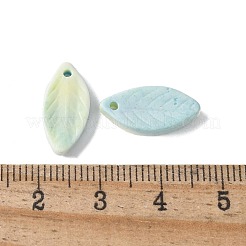 天然レインボーアラシャン瑪瑙ペンダント  染め  葉のチャーム  淡いターコイズ  16.5x7.5~8x2.5mm  穴：1.2mm&nbsp;G-G194-03D