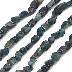 天然石アパタイトビーズ連売り  ナゲット  5~9x5~8x4~6mm  穴：1mm  約58~63個/連  15.75~15.94''（40~40.5センチメートル）&nbsp;G-F821-F01-01