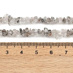 天然ブラックストロベリークォーツチップビーズ連売り  4~6x3~4x1.5~3mm  穴：0.5~0.6mm  29.92~30.71''（76~78センチメートル）&nbsp;G-B160-A03