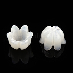 ナチュラルホワイトシェルビーズキャップ  6花びら  スズラン  8x8x7mm  穴：1mm&nbsp;SSHEL-N032-58A
