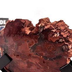 天然の化珪化木のスライスと円弧状の黒い鉄のスタンド  素朴な家の装飾  65x120x220mm&nbsp;AJEW-H157-10