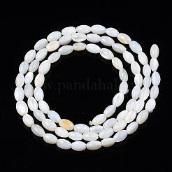 淡水シェルビーズ連売り  染色されていない  オーバル  貝殻色  4~5x2.5~4mm  穴：0.6mm  約77~79個/連  14.57インチ〜15.16インチ（37cm〜38.5cm）&nbsp;SHEL-T009-A15-01
